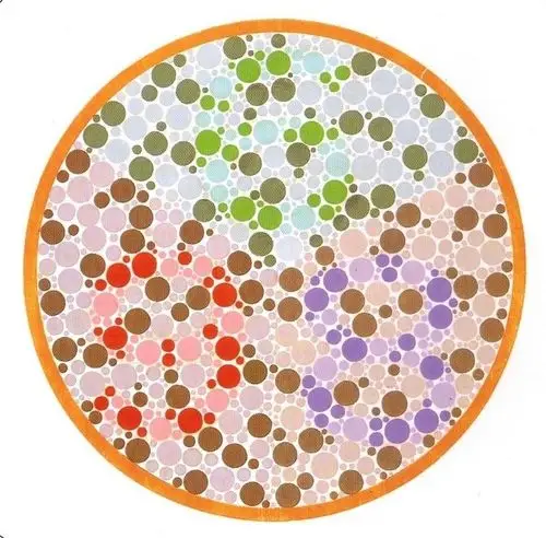 色盲,色弱监测图—东林二小卫生室王波