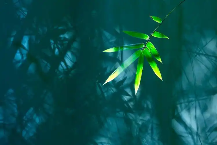 禅意,生活随处可见