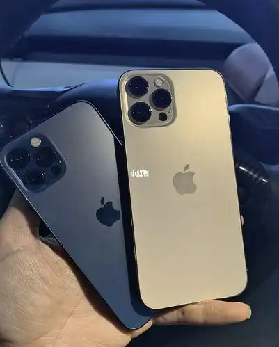 关于苹果12promax咋样的图片及评论