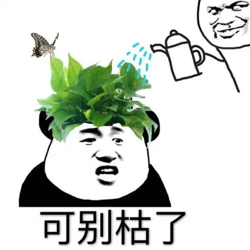 绿帽子绿帽不能枯可别枯了绿帽绿帽子可别表情