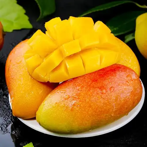 新鲜水果海南贵妃芒8斤装 时令热带水果红金龙芒果