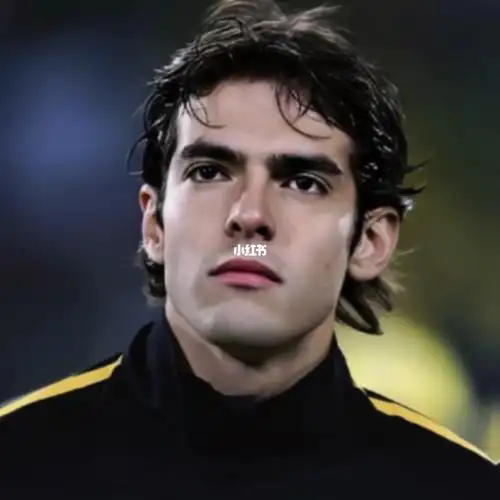 不过我也能和我妹骄傲的说"我的青春是卡卡,c罗,内斯塔和舍甫琴科""你