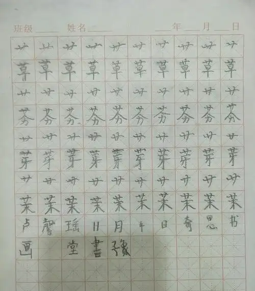 《草字头的写法及运用》