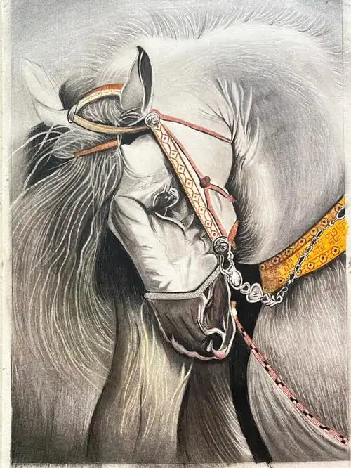 素描马动物素描练习