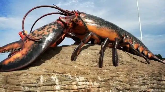 世界上最大的龙虾,长11米重90吨,网友:光看不能吃!