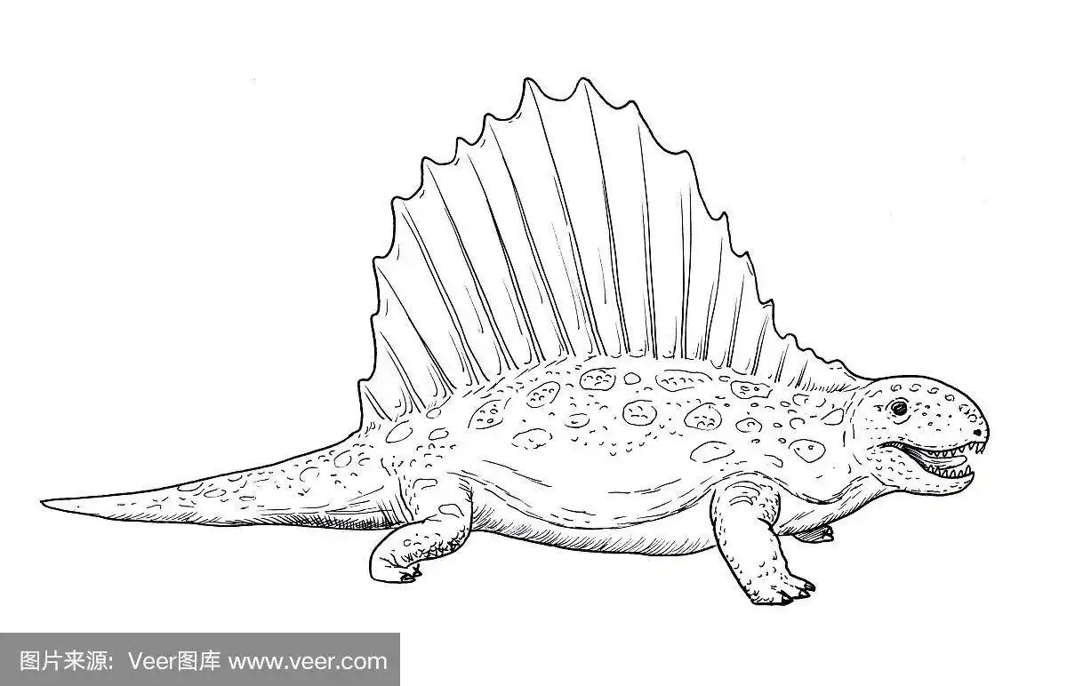 恐龙素描——异齿龙手写生,黑白插图