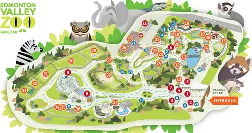 红一班科瑞迪《动物园1》