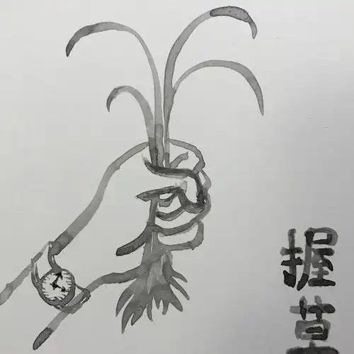 秋刀鱼 - 苏端的作品 | artand - 与艺术家面对面的在线画廊