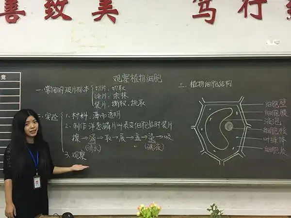 一等奖2,系列活动二钢笔字教案设计——春阳融融继粉笔字板书设计比赛