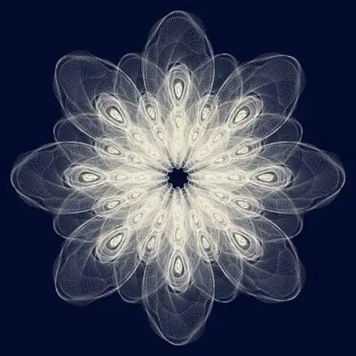 荣格称曼陀罗是人格中心,或说是自性的征兆.