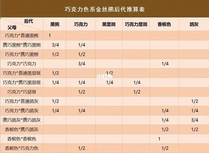 科普:巧克力色系金丝熊后代推算表