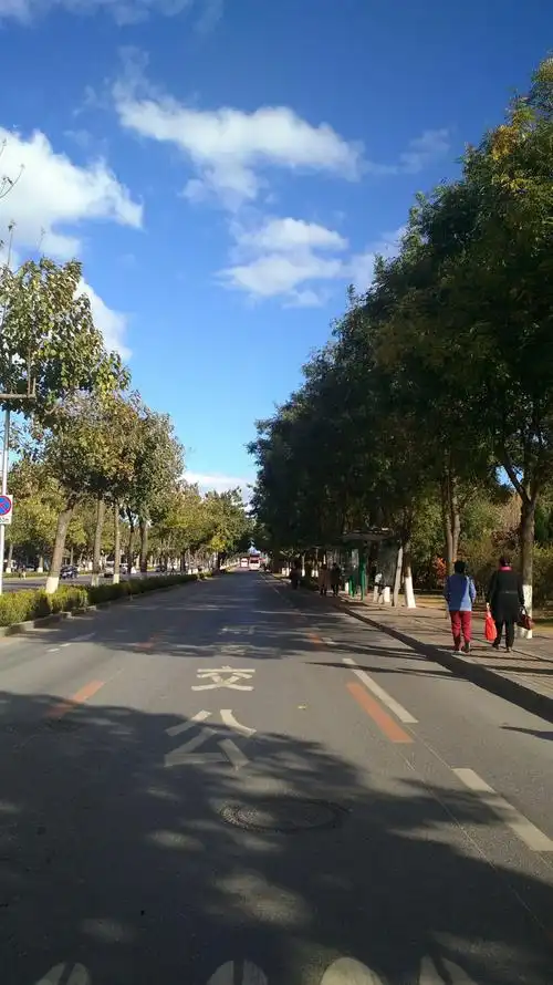 金秋10月,风景如画!路边随拍.