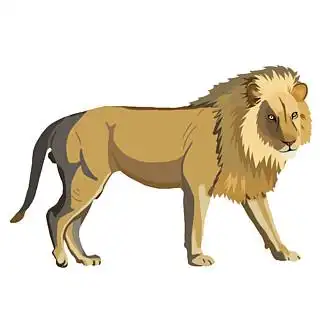 39721漂亮狮子侧面图免抠png透明图层素材39710插画女孩手绘素材可爱