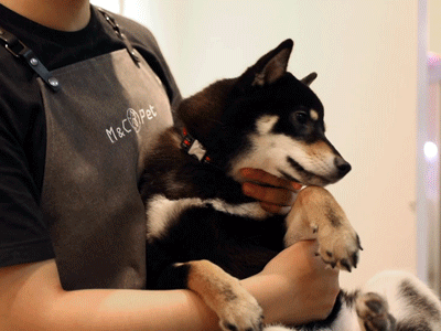 400_300gif 动态图 动图