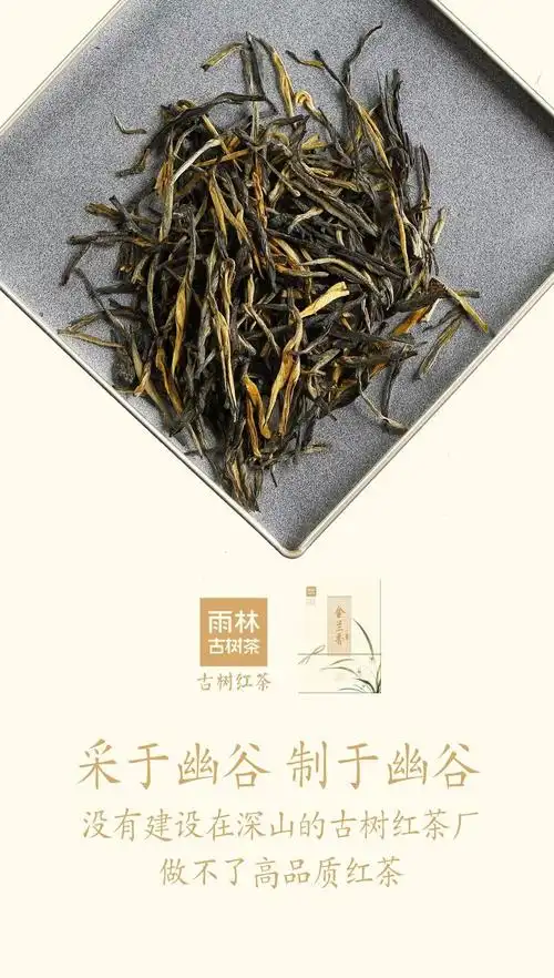 文化 正文 香飘云上,云上芬芳 金兰香,从幽谷采来的古树红茶 兰花才会
