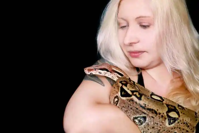 异国情调的热带冷血爬行动物,无毒的蟒蛇种类.