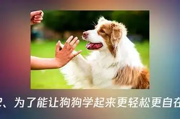 训练狗狗做各种动作 非常聪明的狗狗_百度视频搜索