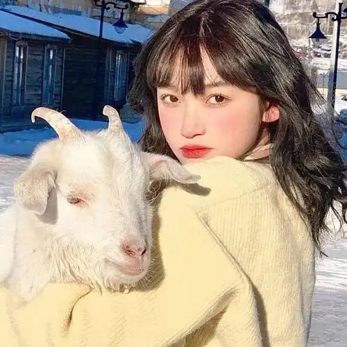 有可爱小羊头像可以给我吗06