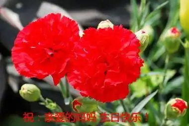 生日快乐手抄报简单-生日快乐手抄报简单版