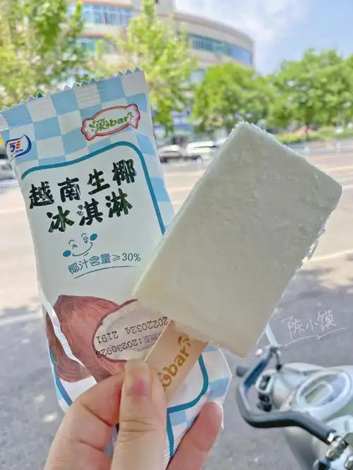03北京探店超好吃超浓郁的椰子雪糕