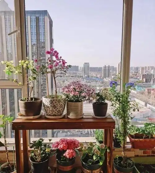 几乎每家的客厅或是阳台都会养几盆花草绿植,让家里看起来生机勃勃