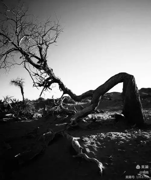 夕阳下的千年沧桑