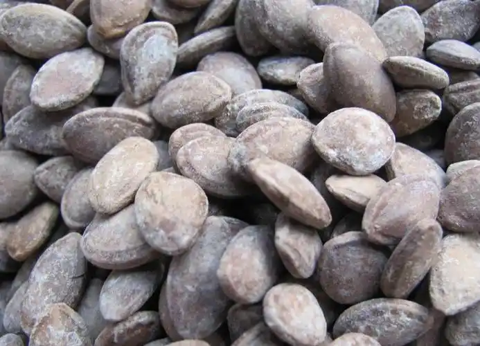 "金九华"牌野葫芦籽