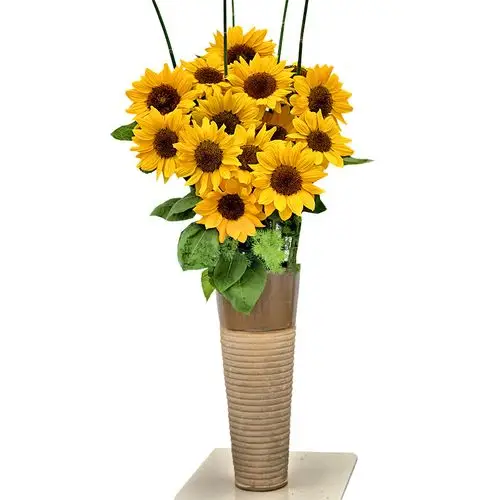 都来嗑瓜子向日葵花盘脸盆那么大