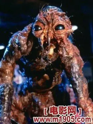 柯南伯格吃自己老本 翻拍经典恐怖"变蝇人"