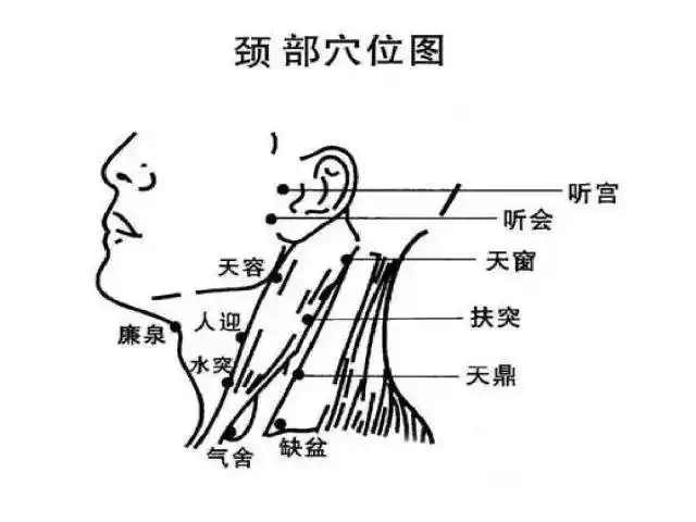 颈部,腋下,腹股沟淋巴排毒手法