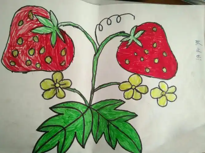 宝贝的画《草莓》