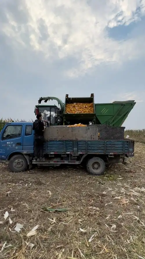 迪马玉米茎穗兼收收割机