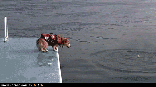 酷图集聚 - 欢乐岛 - 欢乐岛的博客