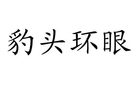 豹头环眼(成语)