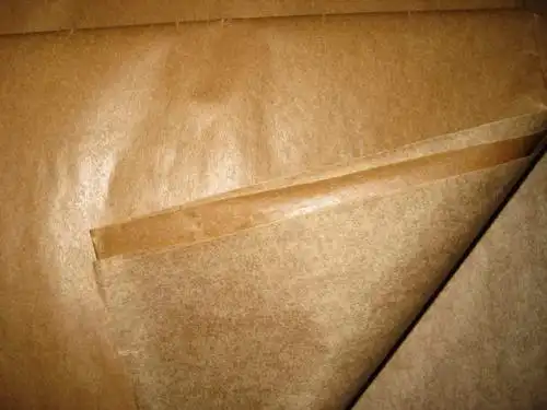 蜡纸 (汉语词汇)