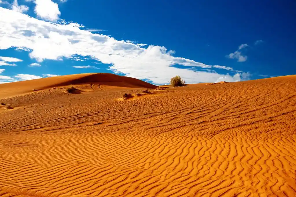 阿拉伯沙漠,在多云的天空下的阿拉伯沙漠