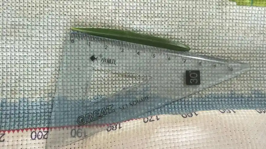 叶在枝条上面斜上伸展,枝条下面乏叶列成两列,条形,直或微弯,长约7.