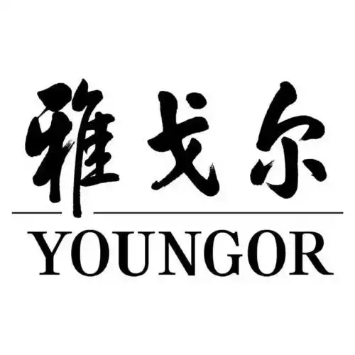 【雅戈尔】因爱而暖!vip年终答谢会走心来袭!