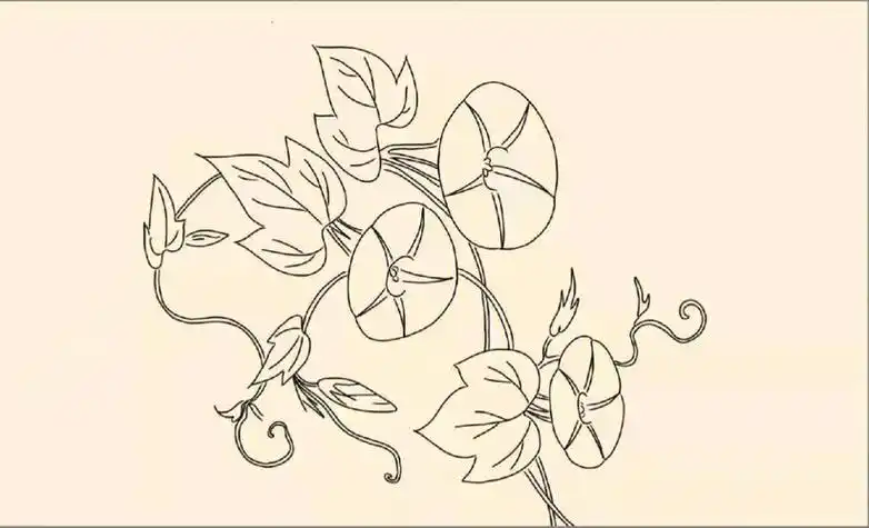 牵牛花的夏天简笔画