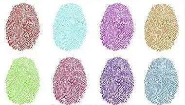 上海自然博物馆科普活动——手的密码| 新61活动_指纹