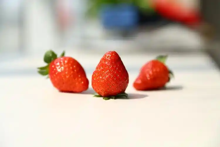 温室水果-草莓|摄影|静物|辨辨童鞋 - 原创作品 - 站酷 (zcool)