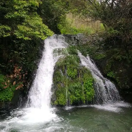 黄梅悠悠雨潇潇(七月)