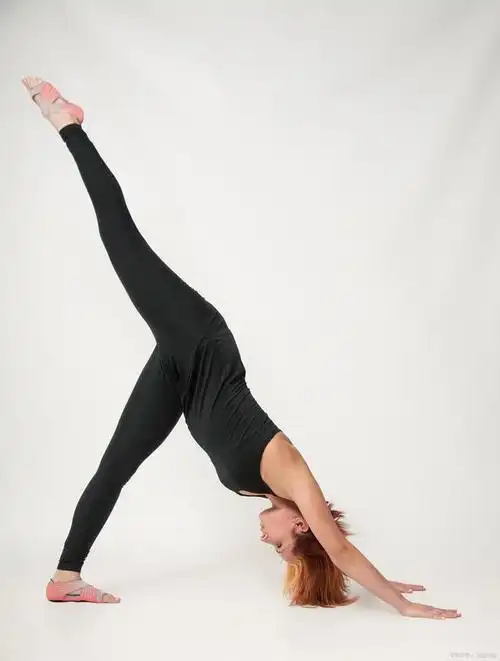 大拜式瑜伽动作