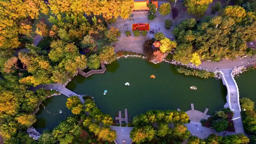 俯瞰人民公园摄影郭刚