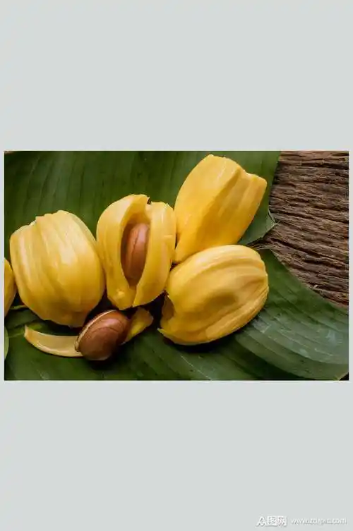 高清水果图片菠萝蜜素材