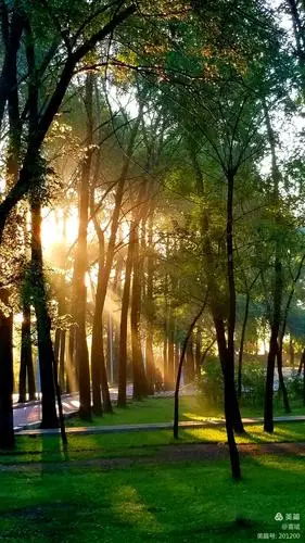 清晨的第一缕阳光