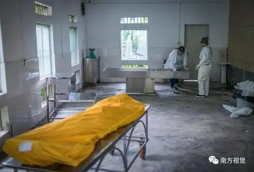 解剖过上千具尸体的女法医,让真相大白无愧于心