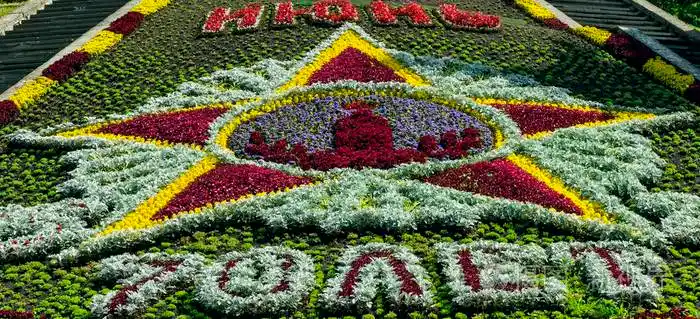 美丽的星形花坛