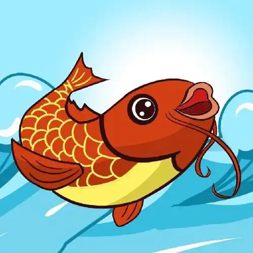 锦鲤宇宙的头像