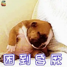 困到gif想哭gif带上gif墨镜gif